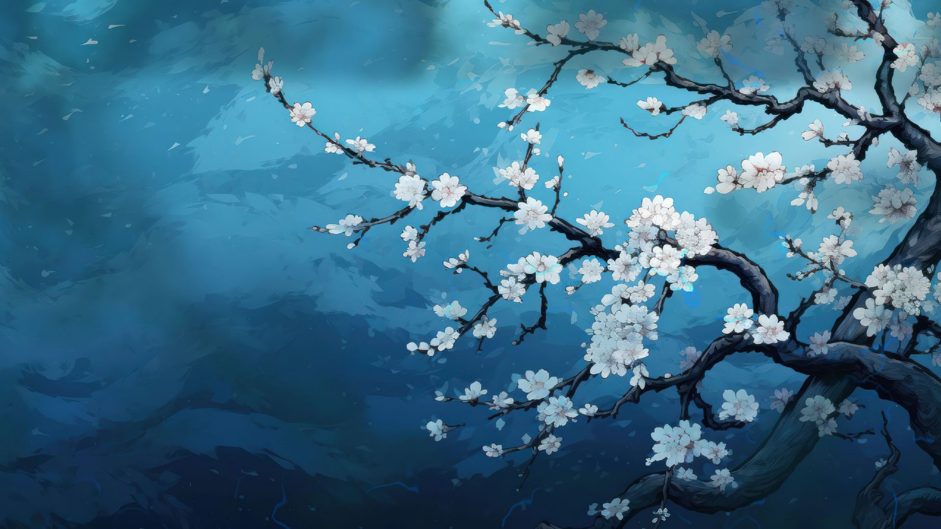 影视（网站/软件）